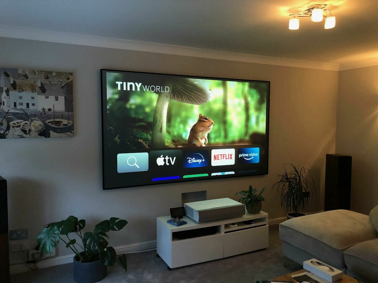 ALR Fixed Frame Projector Screen
